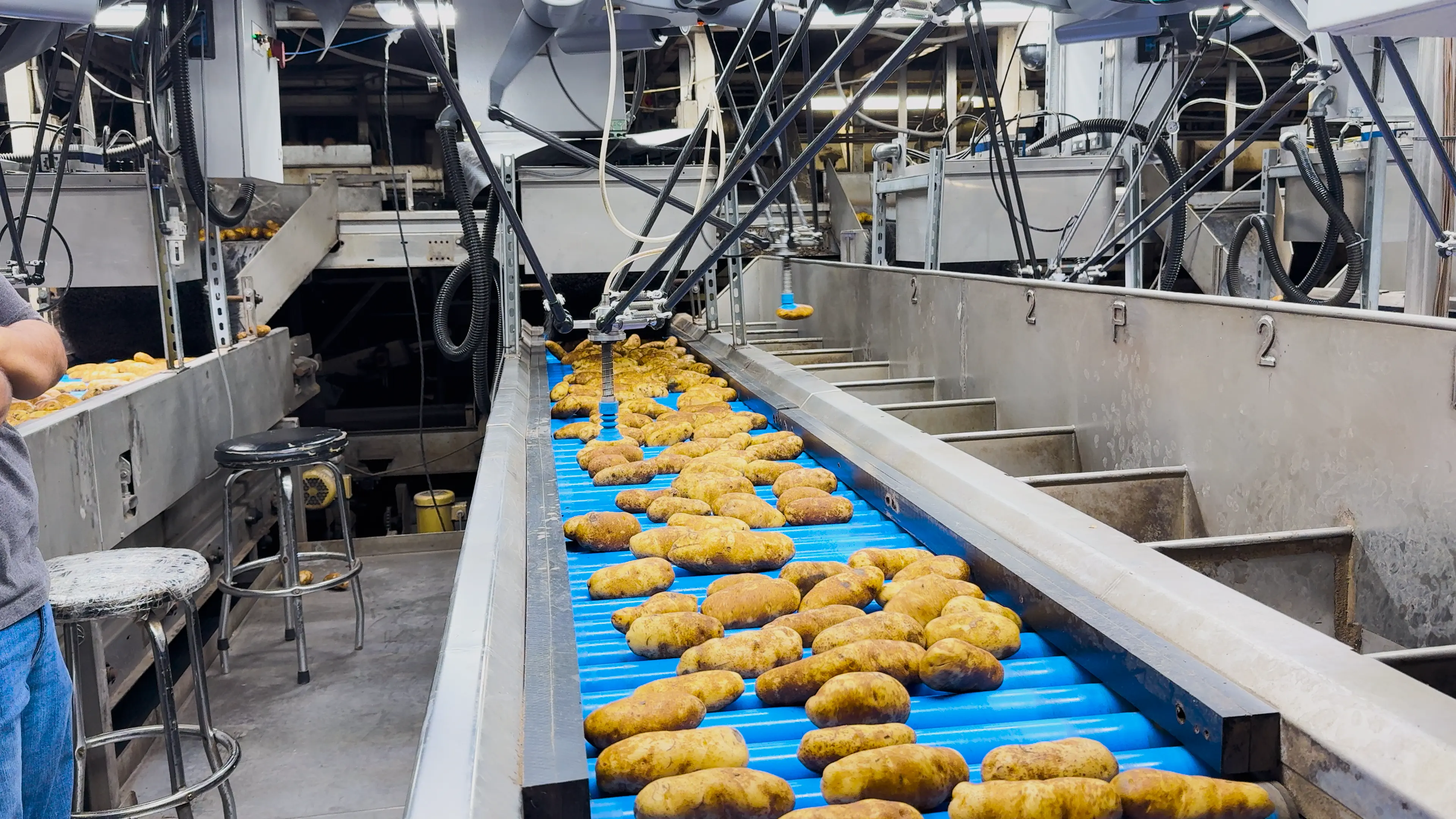 その他 POTATO 2018.01~2019.02,10 SiftAI® Robotic Sorter for Potatoes